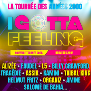 i gotta feeling